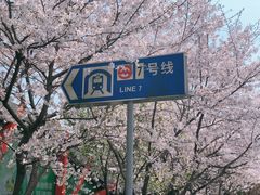 -杨高南路(地铁站)