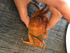 -东方红海鲜百汇(国际大厦店)