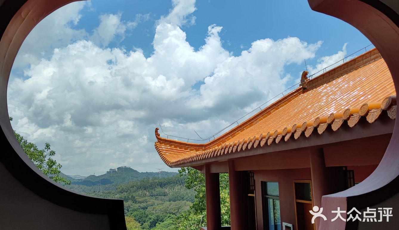 可以带上家人一起来郊游,对于在深圳距离又这么近 - 大众点评吃喝玩乐