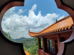 -深圳仙湖植物园