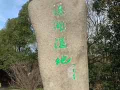 -溱湖国家湿地公园