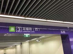 -岗子村(地铁站)