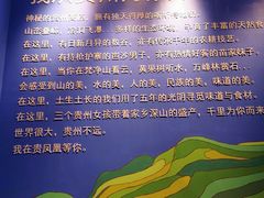 大堂-贵凤凰贵州米粉(望京店)