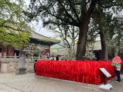 -红螺寺