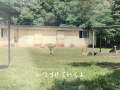 -宁波野生动物园