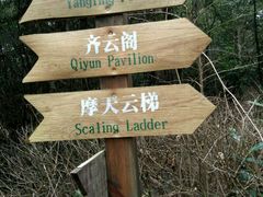 -江西阳明山国家森林公园