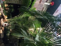 金隅凤山温泉度假村-金隅凤山酒店