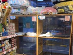 -FAELING PETS美天灵宠物(富力广场店)