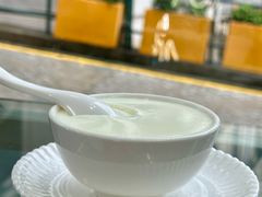 -义顺牛奶公司(新马路老店)