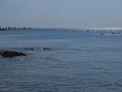 -青岛第二海水浴场