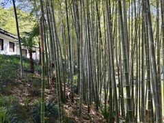 -求雨山文化公园