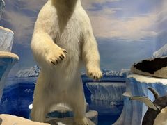 -国家自然博物馆