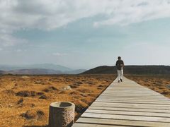 -芦芽山旅游度假区