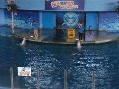 -苏州海洋馆