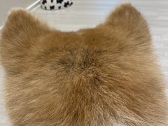 -YCHL Studios健身工作室(市二宫店)
