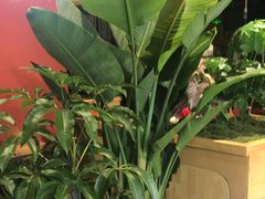 -老船舫·现做活鲜鱼馆(东郊记忆店)
