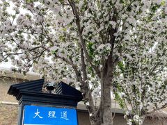 -大福来锅巴菜(古文化街店)