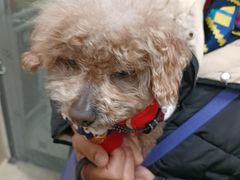 -美联众合动物医院·24h京西诊疗中心