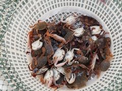 -霞涌市场海鲜摆卖区