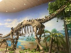 -延庆地质公园博物馆