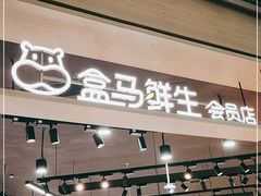 门面-盒马鲜生(岭南新世界店)