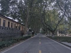 -T80科技文化国际社区-停车场