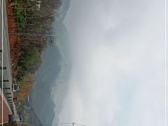 -中原农家乐(中原饭店)