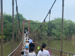 -吴淞炮台湾湿地森林公园烧烤区