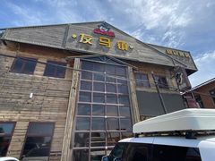 -丰宁坝上草原