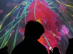 -烟台海昌鲸鲨海洋公园