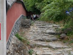 -阳台山自然风景区