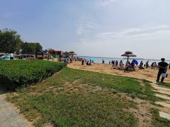 -武清南湖绿博园