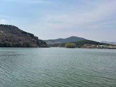 -美顺香食府鱼头老店(雪野湖店)