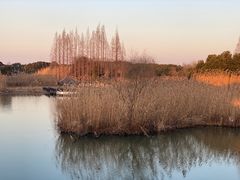 -沙家浜风景区