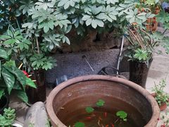 -老院子柴火鸡