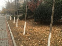 -大连外国语大学(旅顺校区)