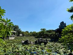 -粤晖园