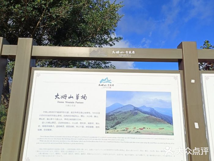 大姆山草场图片