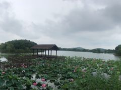 -上海市保健医疗中心