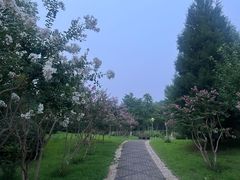 -东升八家郊野公园