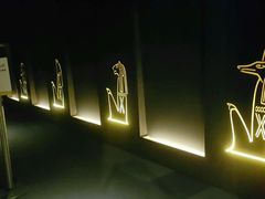 -香港科学馆