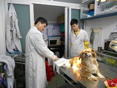 -瑞派动物医院·猫专科·至诚(江南中分院)