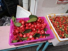 -老炳·七丛松甘草水果