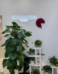 -Two  Monkeys 孕婴写真馆(龙华店)