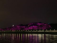 -中国宜宾·长江地标广场