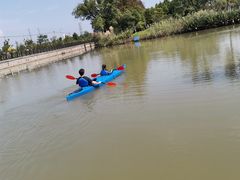 -上海长兴岛郊野公园