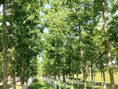 -汉长安城未央宫国家考古遗址公园