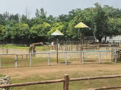 -西安秦岭野生动物园