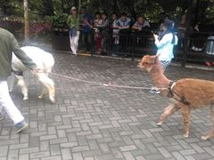 -呀诺达热带雨林