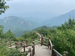 -大岭沟猕猴桃谷风景区